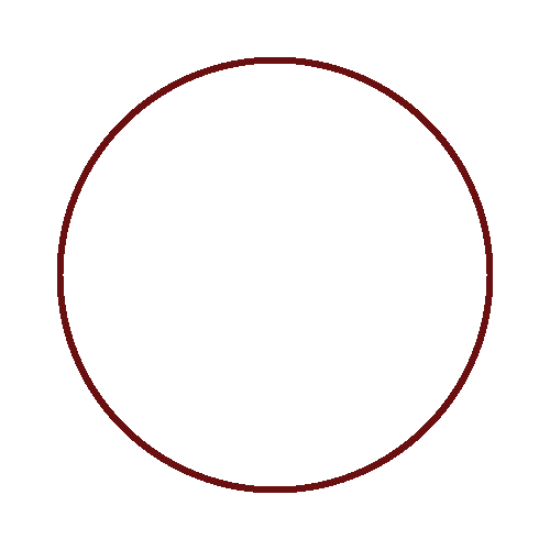 الدراسة في مصر