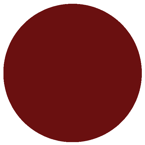 الدراسة في مصر